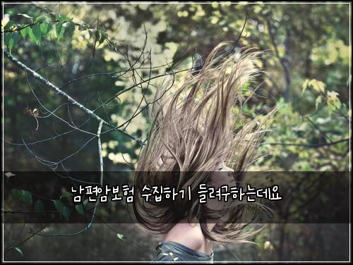 ๋จํธ์๋ณดํ ์์งํ๊ธฐ ๋ค๋ ค๊ตฌํ๋๋ฐ์