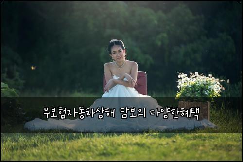 무보험자동차상해 담보의 다양한혜택