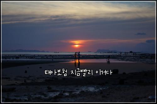 태아보험 지금빨리  이거다