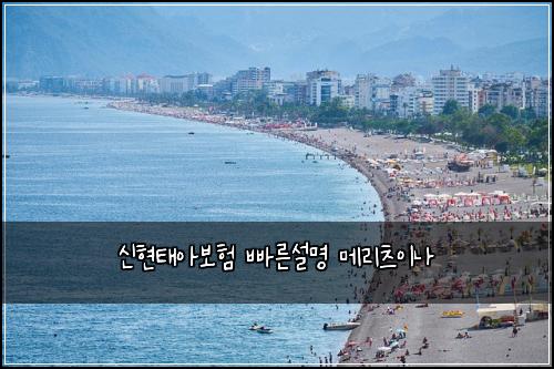 신현태아보험 빠른설명  메리츠이나