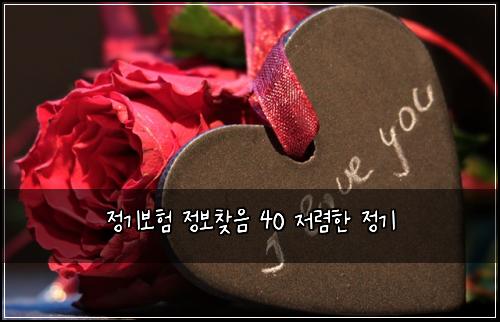 정기보험 정보찾음  40 저렴한 정기