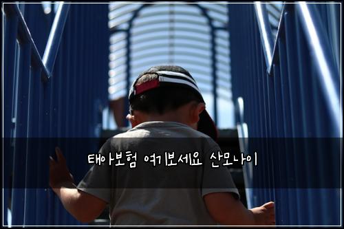 태아보험 여기보세요  산모나이