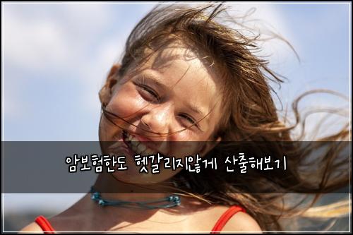 암보험한도 헷갈리지않게 산출해보기