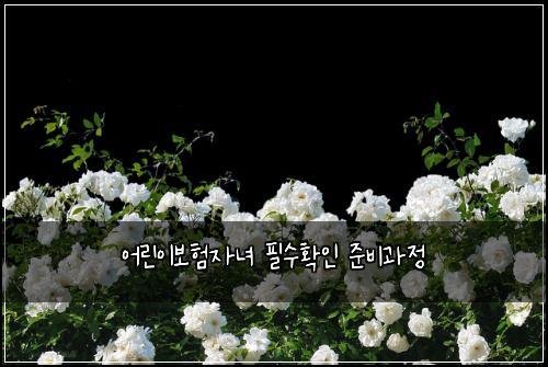 어린이보험자녀 필수확인 준비과정