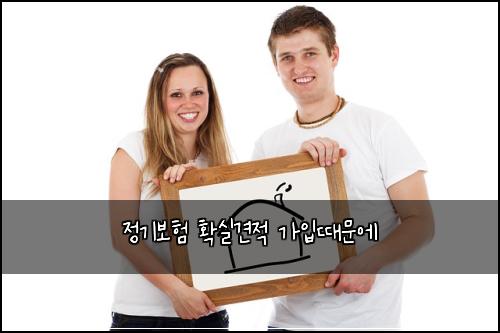 정기보험 확실견적  가입때문에