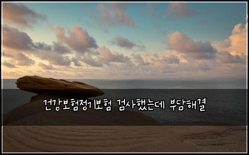 건강보험정기보험 검사했는데 부담해결