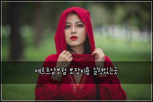 메르츠암보험 보장비용  실력있는곳
