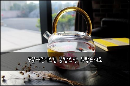 4살어린이보험 통합보장  부탁드려요