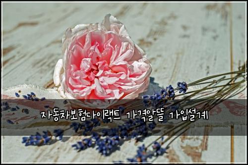 자동차보험다이랙트 가격알뜰 가입설계