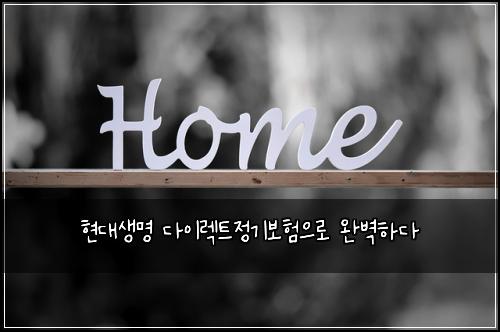 현대생명 다이렉트정기보험으로 완벽하다