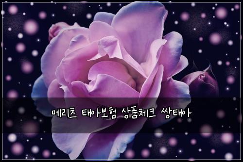 메리츠 태아보험 상품체크  쌍태아