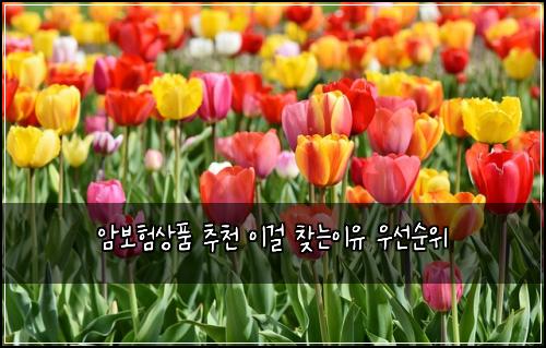 ์๋ณดํ์ํ ์ถ์ฒ ์ด๊ฑธ ์ฐพ๋์ด์ ์ฐ์ ์์