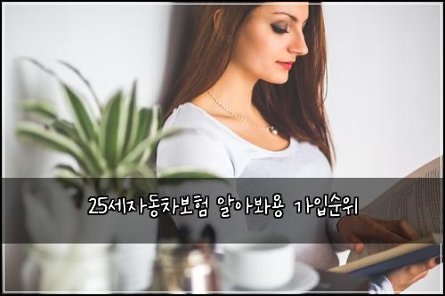 25세자동차보험 알아봐용  가입순위