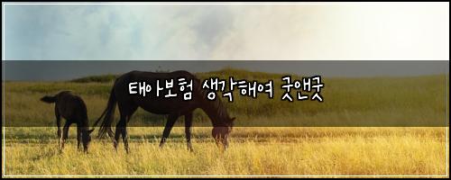 태아보험 생각해여  굿앤굿
