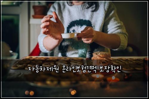 ์๋์ฐจ์ ์ ์จ๋ผ์ธ๋ณดํ๊ฒฌ์ ๋ณด์ฅํ์ธ