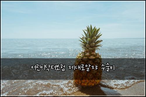 ์ด๋ฆฐ์ด๋ฅํฐ๋ณดํ ์ ๋๋ก์์ ์์ ๋น