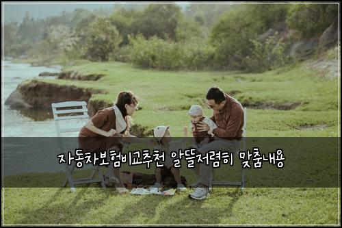 자동차보험비교추천 알뜰저렴히 맞춤내용
