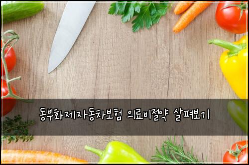 동부화제자동차보험 의료비절약  살펴보기