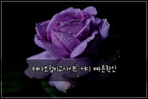 태아보험비교사이트 어디 빠른확인