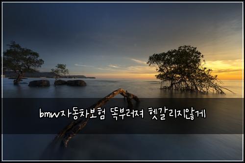 bmw자동차보험 똑부러져  헷갈리지않게