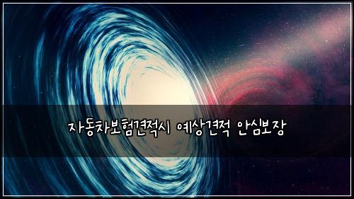 자동차보험견적시 예상견적 안심보장