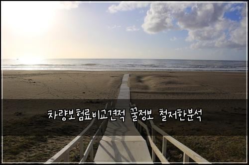 ์ฐจ๋๋ณดํ๋ฃ๋น๊ต๊ฒฌ์ ๊ฟ์ ๋ณด ์ฒ ์ ํ๋ถ์