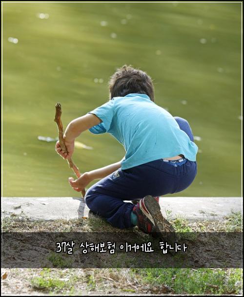 37살 상해보험 이거에요  합니다