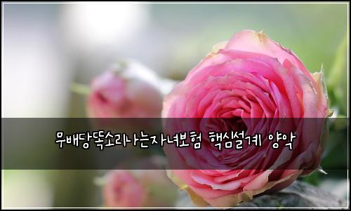 ๋ฌด๋ฐฐ๋น๋์๋ฆฌ๋๋์๋
๋ณดํ ํต์ฌ์ค๊ณ ์์
