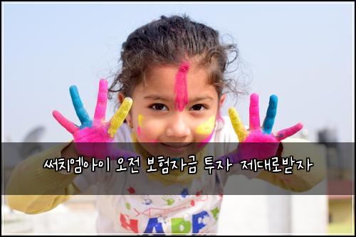 써치엠아이 오전 보험자금 투자 제대로받자