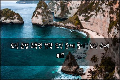 토익 문법 고득점 전략 토익 문제 풀이 : 토익 문제 #117