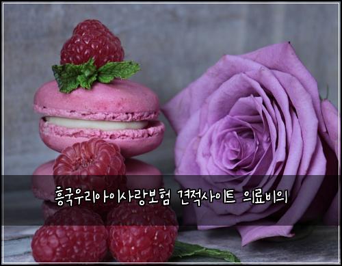 ํฅ๊ตญ์ฐ๋ฆฌ์์ด์ฌ๋๋ณดํ ๊ฒฌ์ ์ฌ์ดํธ ์๋ฃ๋น์