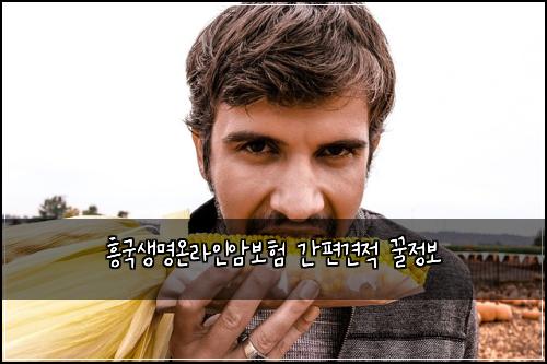 흥국생명온라인암보험 간편견적  꿀정보