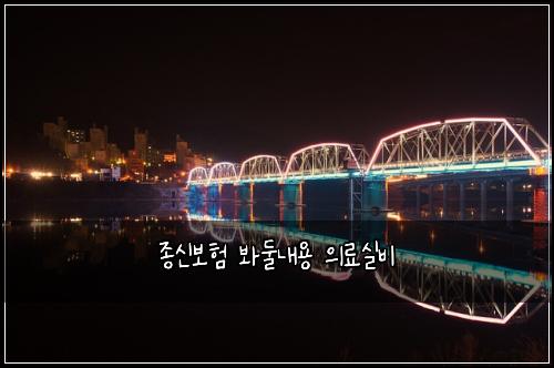종신보험 봐둘내용  의료실비