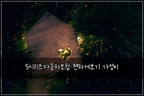 5시리즈자동차보험 편하게보기  가성비