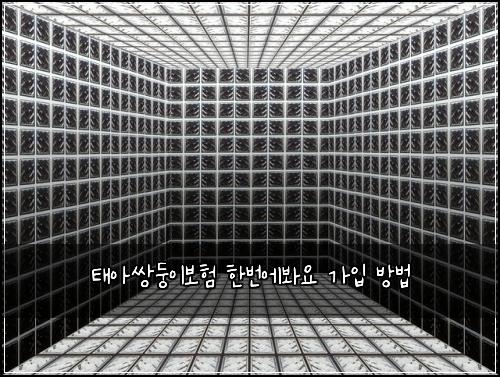 태아쌍둥이보험 한번에봐요  가입 방법