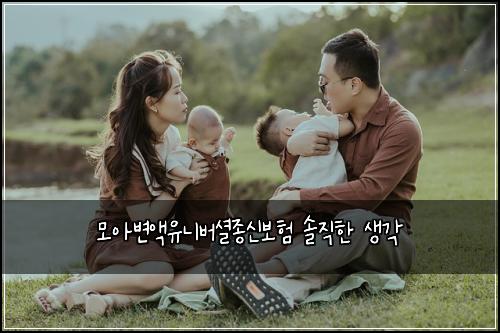 모아변액유니버셜종신보험 솔직한 생각