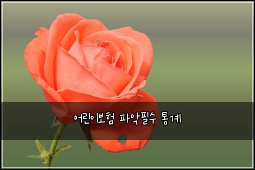 어린이보험 파악필수  통계