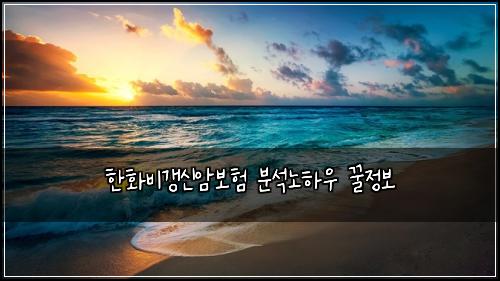 ํํ๋น๊ฐฑ์ ์๋ณดํ ๋ถ์๋
ธํ์ฐ ๊ฟ์ ๋ณด