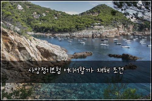 사망정기보험 어디서할까  재해 조건