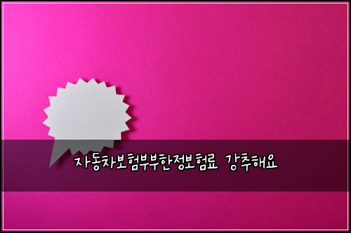 자동차보험부부한정보험료 강추해요