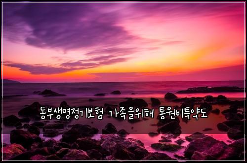 동부생명정기보험 가족을위해  통원비특약도
