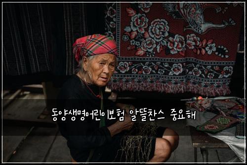 ๋์์๋ช
์ด๋ฆฐ์ด๋ณดํ ์๋ฐ์ฐฌ์ค ์ค์ํด