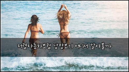 저렴자동차보험 당장보기  어디서 알아볼까