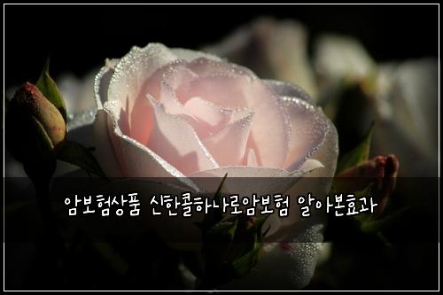 암보험상품 신한콜하나로암보험 알아본효과