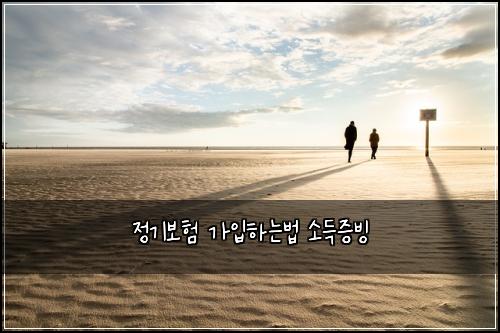 정기보험 가입하는법  소득증빙