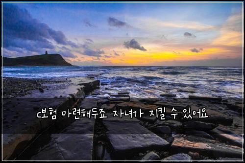 c보ν λ§λ ¨ν΄λμ£ μλ
κ° μ§ν¬ μ μμ΄μ