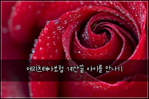 ๋ฉ๋ฆฌ์ธ ํ์๋ณดํ ๊ณ์ฐ๋ ์์ด๋ฅผ ๋ง๋๊ธฐ
