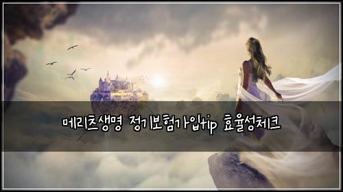 메리츠생명 정기보험가입tip 효율성체크