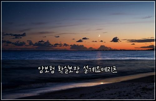 암보험 확실보장  설계요메리츠