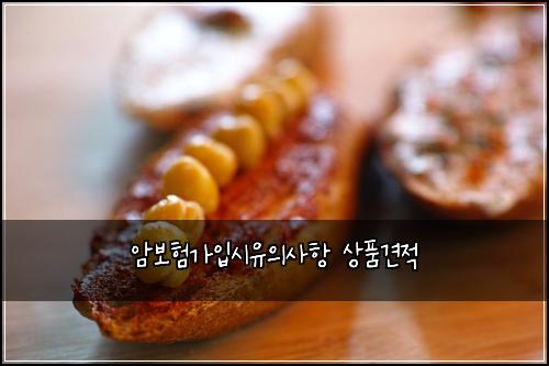 암보험가입시유의사항 상품견적